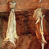 dried Viking food hanging in the pantry