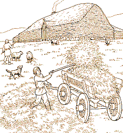 hay making