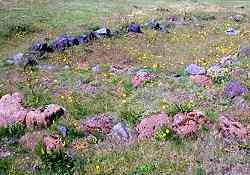 stone footings