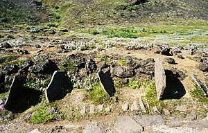 Stong cattle stalls