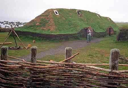 LAM turf house